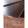 Brown water proof film faced plywood for construction